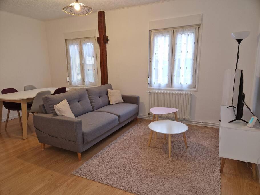 Appartement Le Grillenbreit Κολμάρ Εξωτερικό φωτογραφία